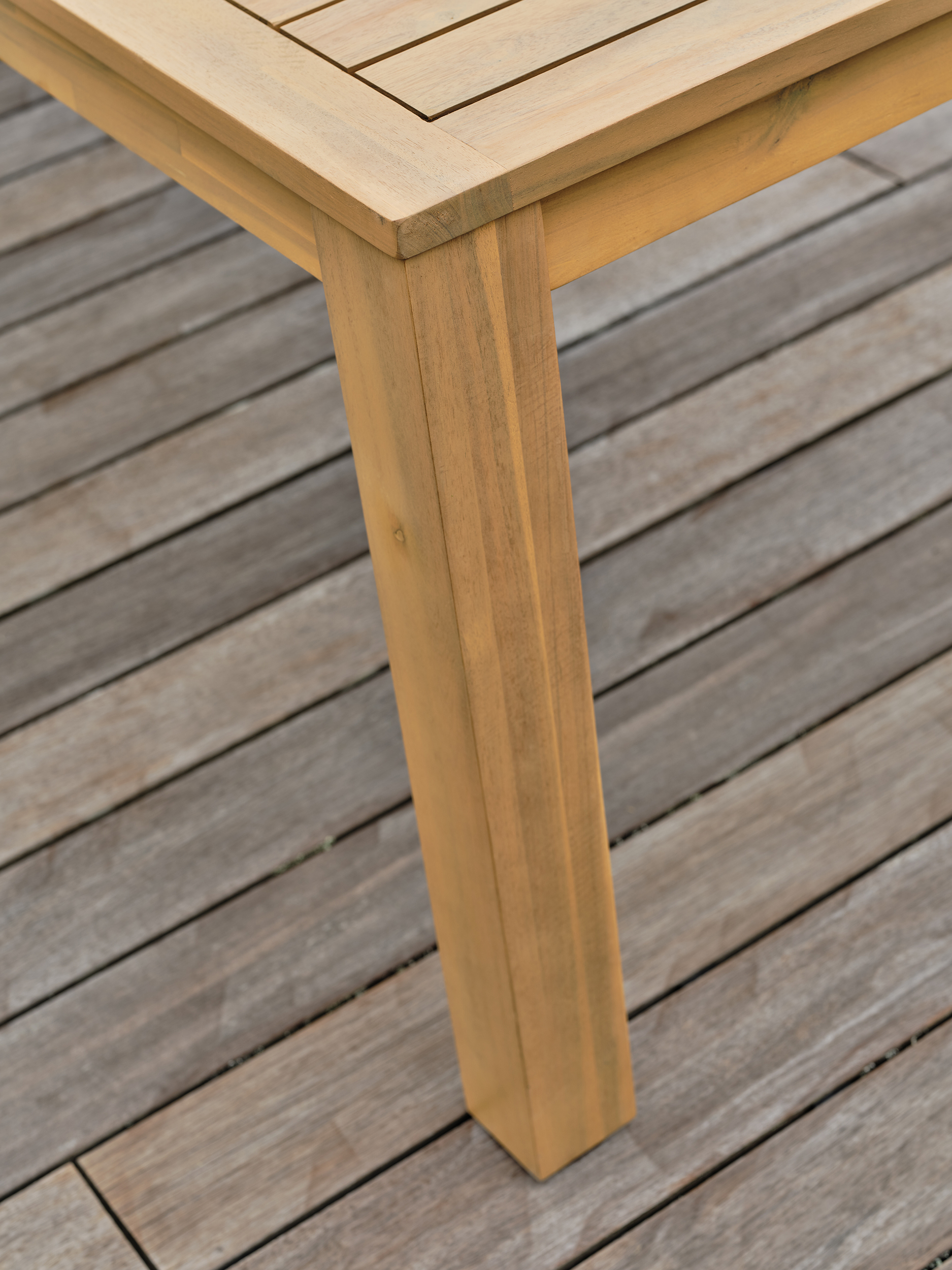 pied table acacia